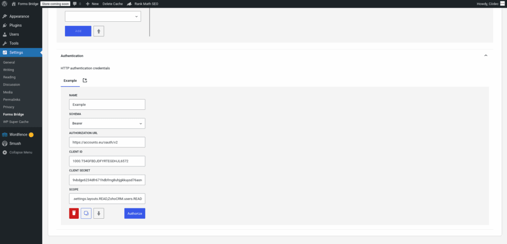 An example of a Bearer authentication credential registry
